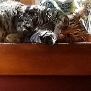 Meet your Posher, Kristy